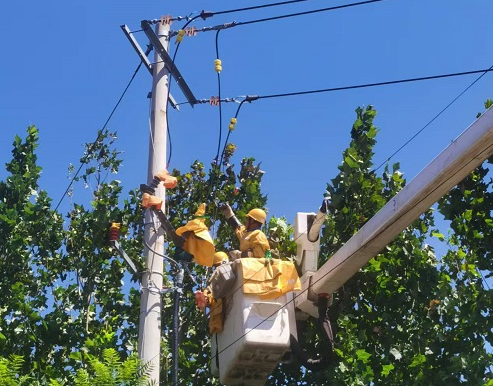 10KV辛南1線溫家支線01號桿帶電更換領克熔斷器